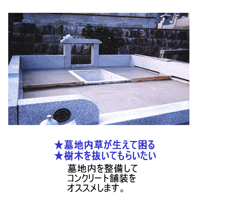 ��n���|�֘A